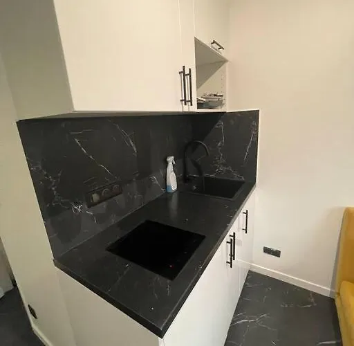 Studette Cosy Entierement Renovee Appartement Paris